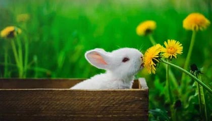 爱游戏娱乐平台-曼联后防线三人缺阵调整成关键，曼联后卫线