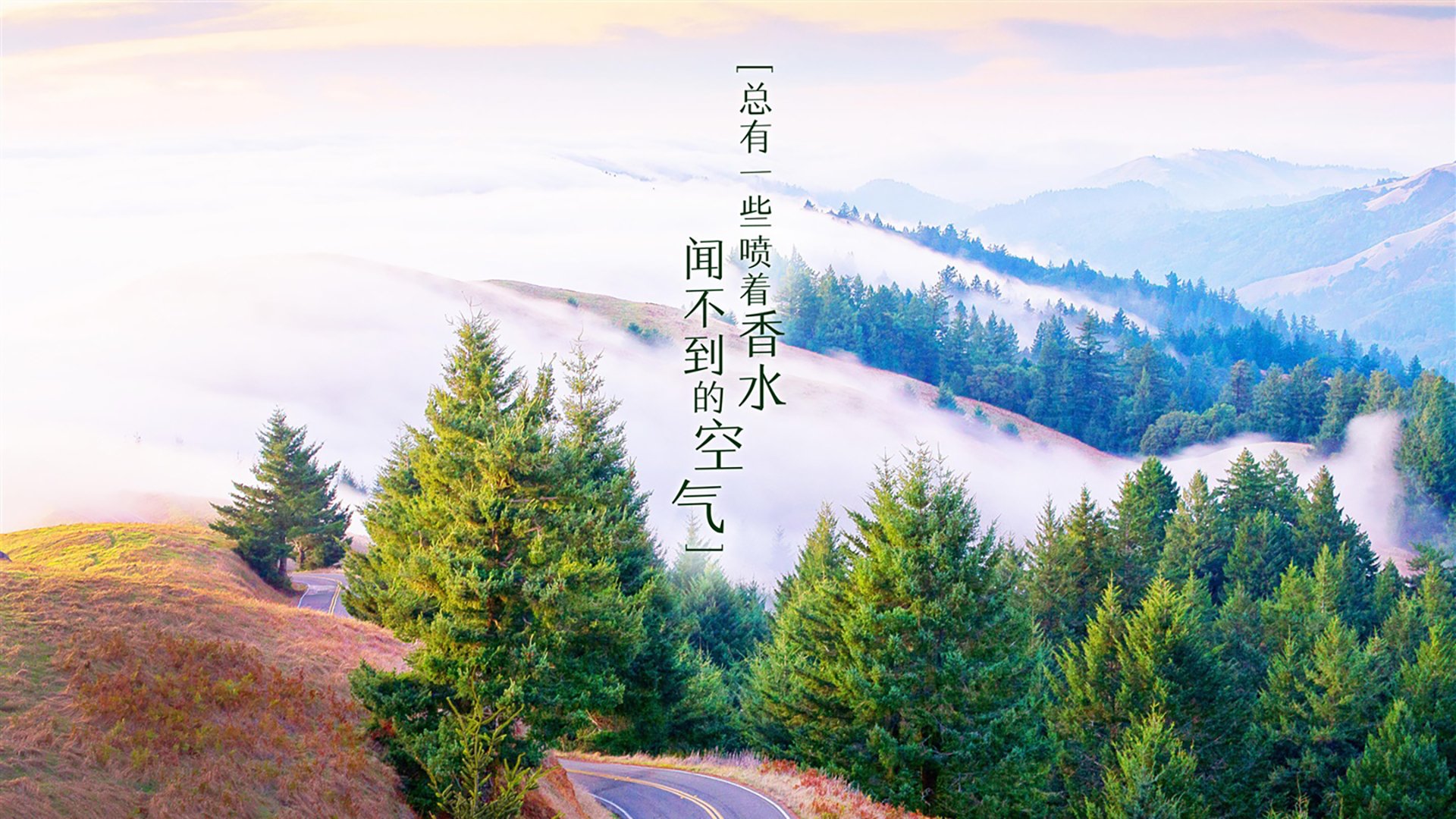 中国花样游泳队实现队史奥运金牌“零突破”，夺得集体和双人项目两金