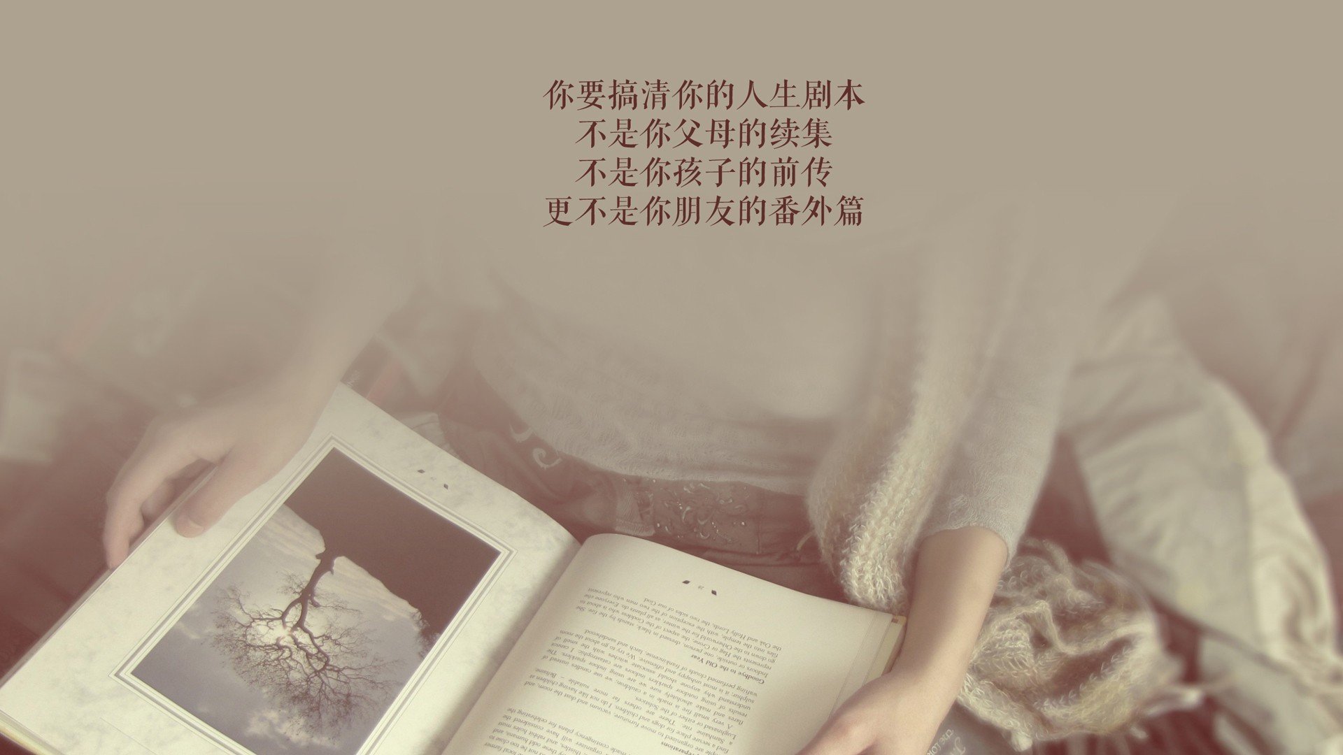 传统文化运动体验营，感受中华瑰宝的魅力，传统文化体验活动有哪些