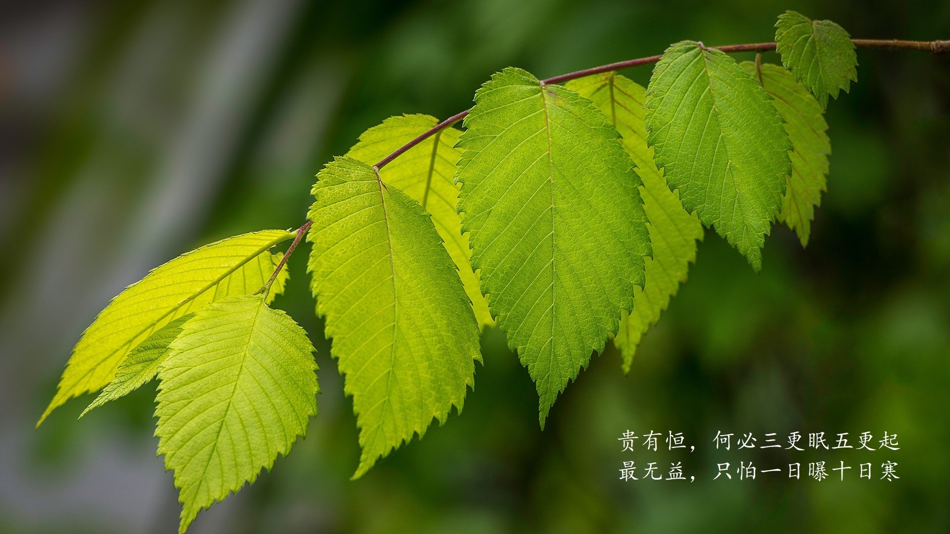 未来体育：AR互动让观众成为比赛的“亲历者”，百度未来体育
