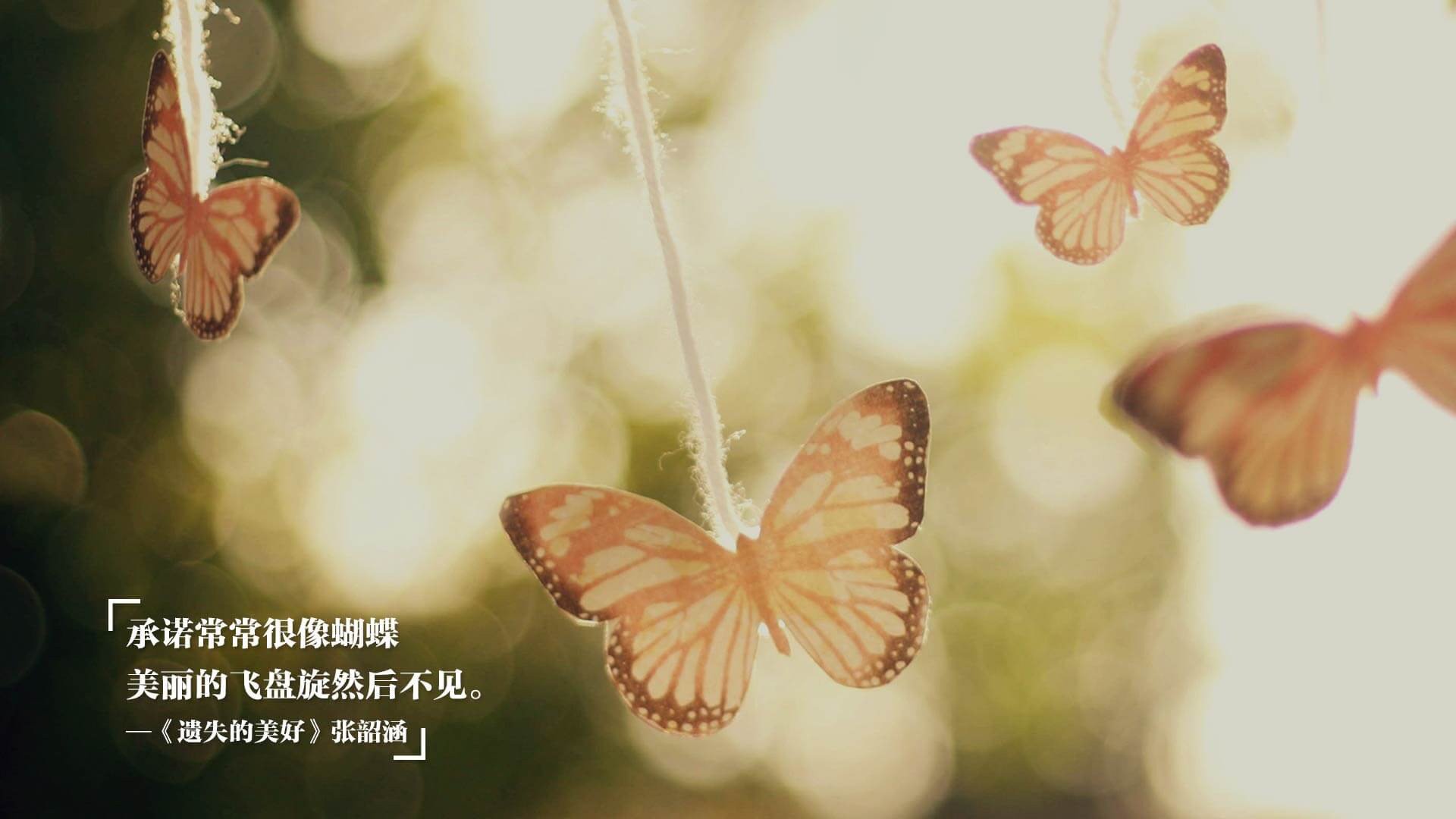 青训场馆智能化升级，打造“绿色智慧”青训环境，青训管理