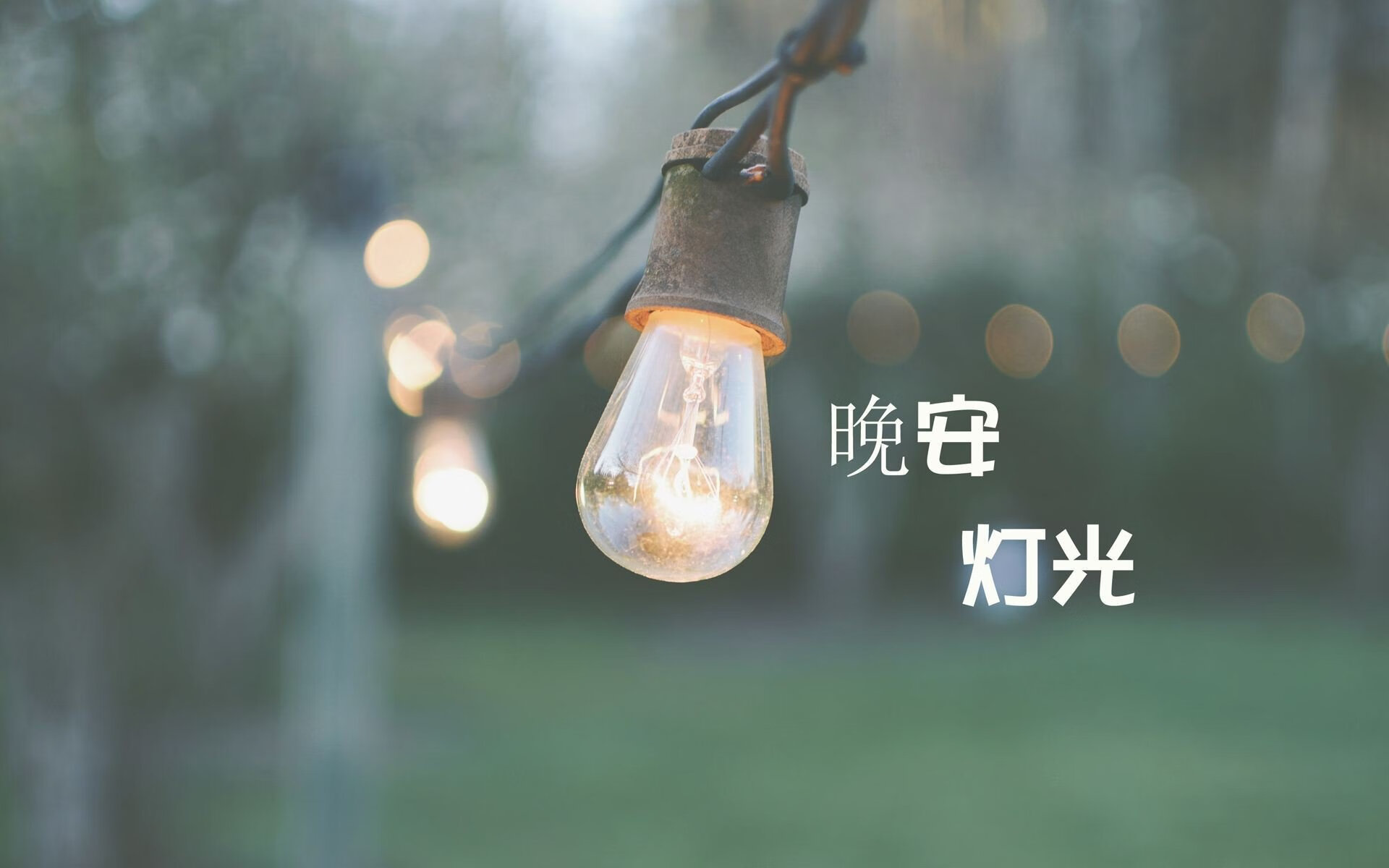 澳洲球队迎来新主帅，志在全力夺冠，澳洲国家队