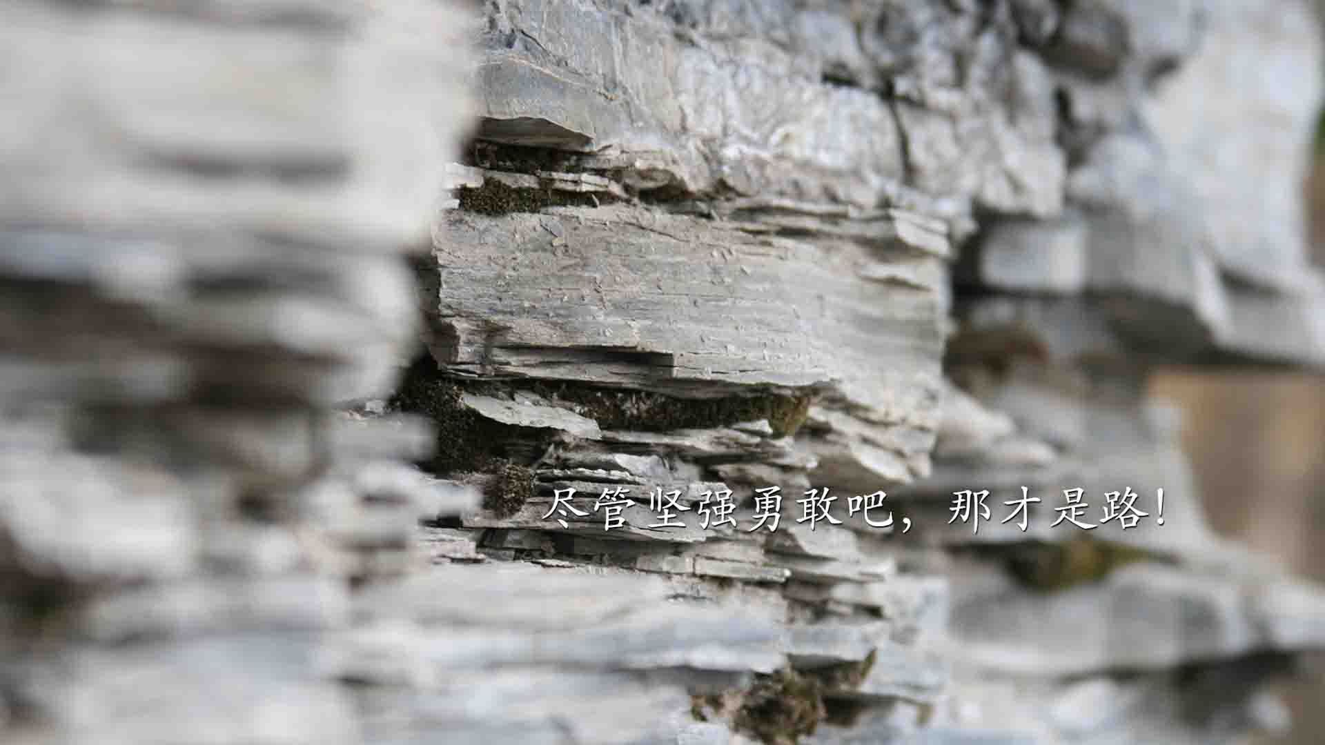葡萄牙联赛顶级对决波尔图主场击败本菲卡，葡萄牙波尔图疫情最新消息