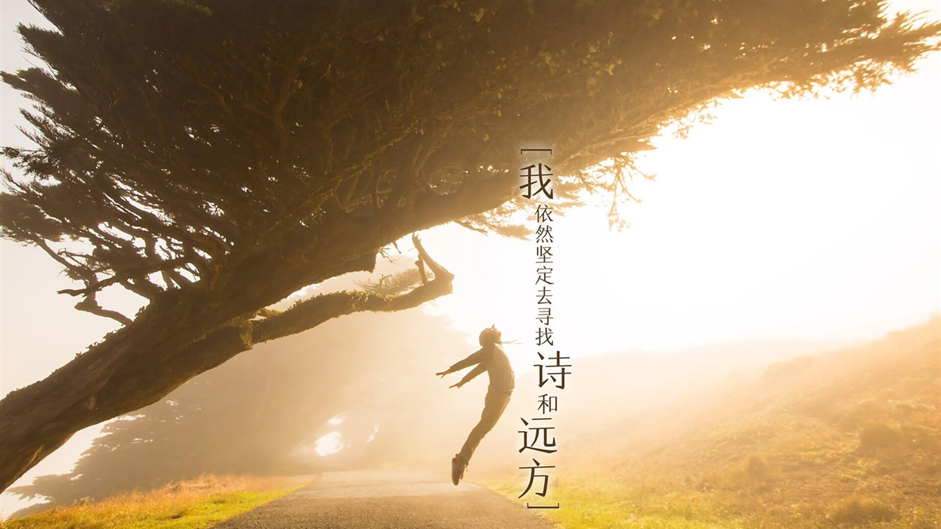 世界杯影响：五大联赛的变化与机遇，世界杯的参赛队伍