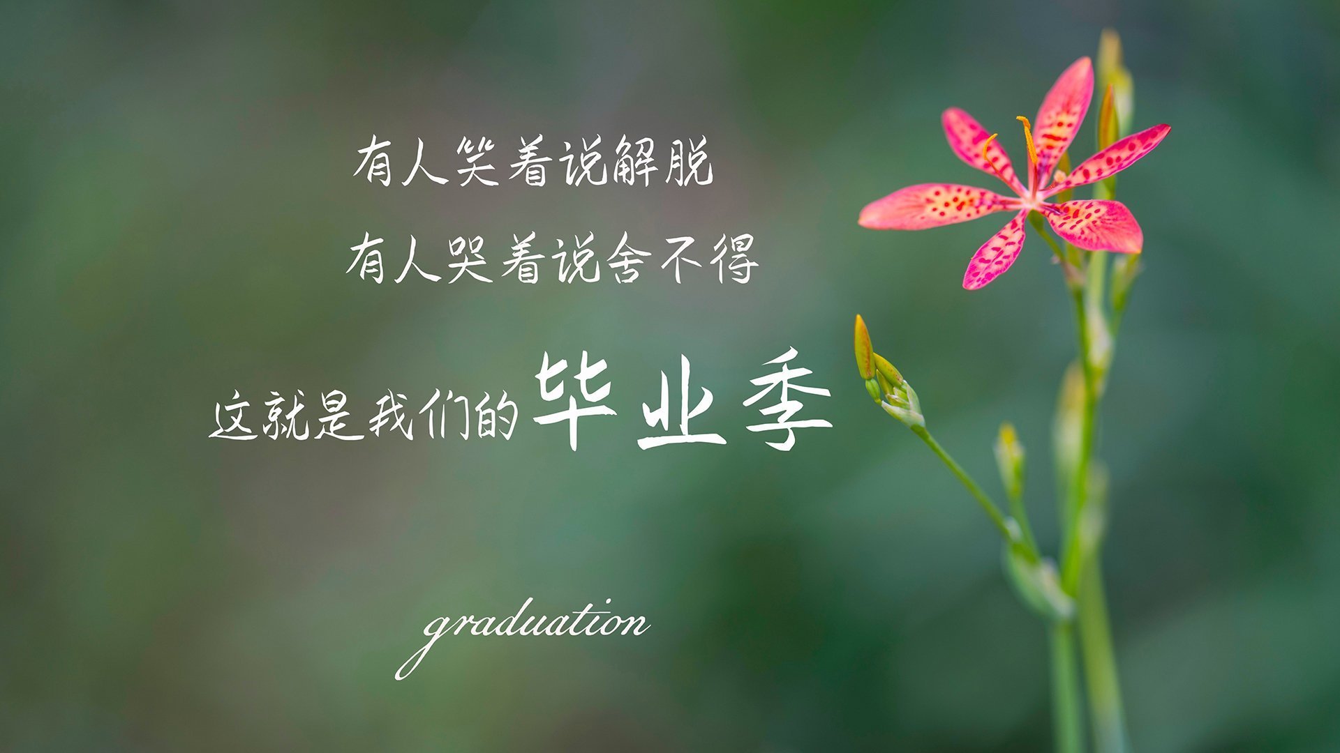 校园足球设置多维考核模型实现技学双提升，校园足球评价体系